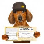 La Loi Châtel & résiliation assurance chien