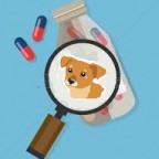 Santé animaux de compagnie : Les antibiotiques pour les chiens