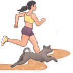 Comment pratiquer une activité physique avec son chien ?