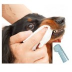 Santé chiens : quels sont les problèmes dentaires chez les chiens ?
