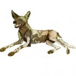 Santé chien : Que faire en cas d'anorexie chez son chien ?