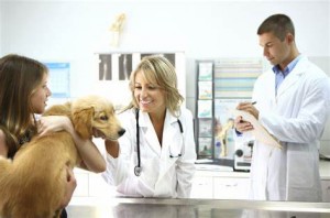 mutuelle santé chien