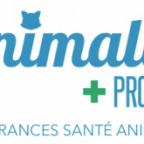 Mutuelle chien ANIMALIA PROTECT