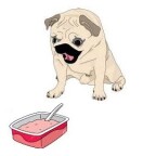Peut-on donner un yaourt à un chien ?