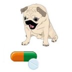 Peut-on donner de l’aspirine, de paracétamol ou d’ibuprofène à un chien ?