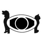 Cataracte du chien et du chat : symptômes, causes et traitement