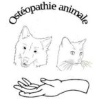 Quand doit-on consulter un ostéopathe vétérinaire  ?