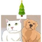 Intoxication de chien et de chat pour Noël et fêtes de fin d’année