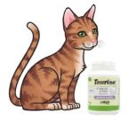 Taurine pour le chat est-il conseillé de lui  en donner ?