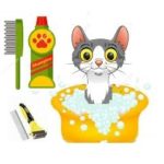 Est-il judicieux de donner un bain à un chat ?
