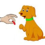 Refuser les appâts : une éducation à apprendre à son chien