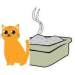 Litière pour chat : peut elle avoir des effets néfastes pour l’homme ?