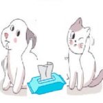 Peut-on utiliser les produits bébé pour les lingettes pour chien et chat ?