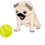 Est-ce que les balles de tennis sont un danger pour un chien ?