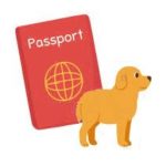 Le passeport chiens et chats pour voyager à l’étranger