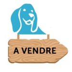 Quelle est  réglementation actuelle pour la vente de chiens et chats ?