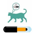 Existe-t-il des risques de déplacement de puce électronique chien et chat ?