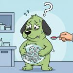 Santé chiens : l’échinococcose