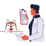 Feuille de soin utile pour le remboursement des soins vétérinaires pour chiens et chats