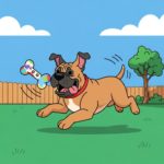 Races de chien préférées des Français : le Boerboel