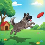 Races de chien préférées des Français : le Berger Yougoslave